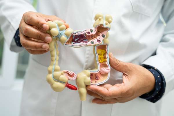 Fasting and Gut Health 1