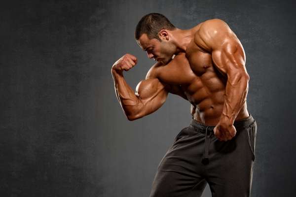 Fasting and Muscle Preservation 1